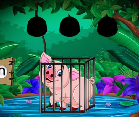 The Pig And The Garden Cage