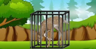 Deer In Distress